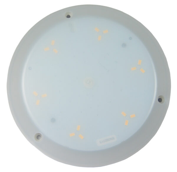 Laetuli TMT, LED Pinnapealne